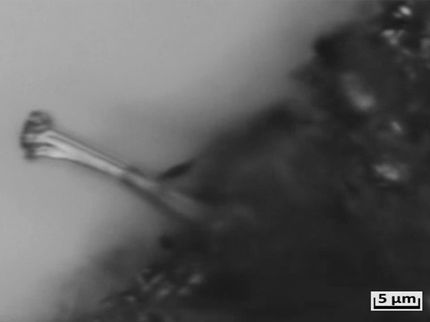 Nie mehr brennende Smartphone-Akkus?