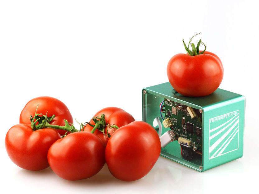 Pocket-size food scanner - Tackling food waste