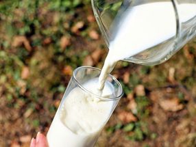 Bundesregierung stärkt den Bezeichnungsschutz Milch