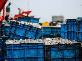 EU withdraws threat of fish import ban from Thailand