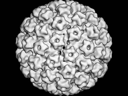 Impfung als Therapie