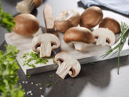 Stiftung Warentest untersucht Pilze