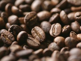 Kaffee: Nur für wenige Konzerne ist es "braunes Gold"