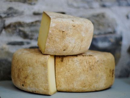 Nachfrage nach bayerischem Käse steigt und steigt