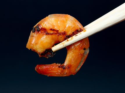 Grünes Licht für die deutsche Zuchtgarnele