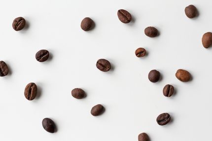 Schwarz-Gruppe baut Kaffeeproduktion auf