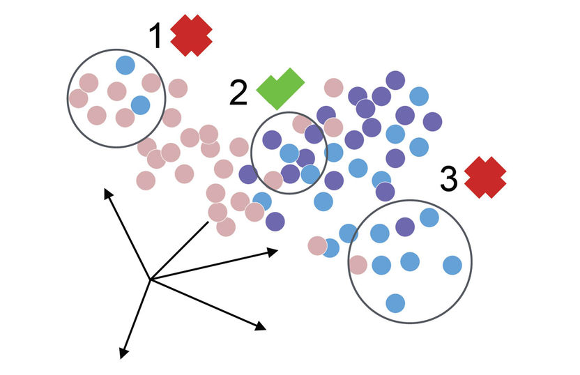 Modified from Büttner, M. et al. (2019)