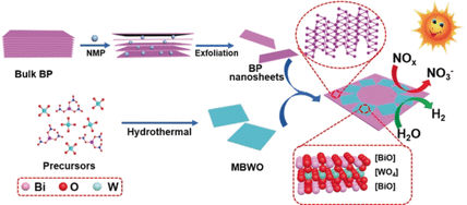 Leistungsstärker durch innige Verbindung - Aktiver Photokatalysator: 2D/2D-Heterostruktur aus schwarzem Phosphor und Bismuthwolframat