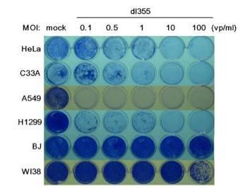 Yanagawa-Matsuda, et. al, Oncology Reports, November 12, 2018