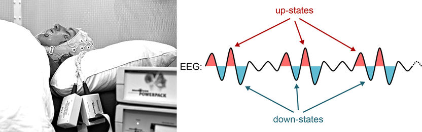 Simon Ruch/Marc Züst, University of Bern 