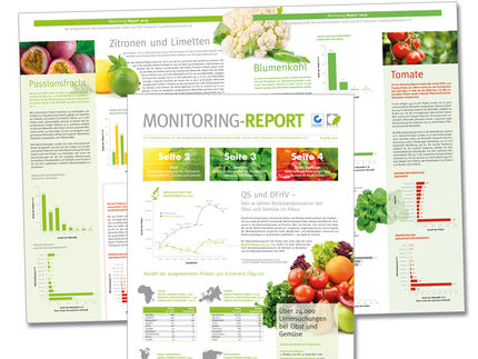 Zehn Jahre Monitoring-Report Obst, Gemüse, Kartoffeln