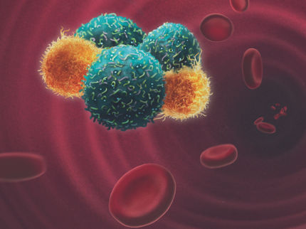 Escortservice: Die Rolle von Immunzellen bei der Bildung von Metastasen