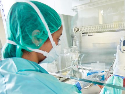 Tuberkulose: Den Zelltod durch Immuntherapie hemmen