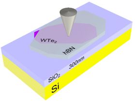 Imaging conducting edges in a promising 2D material