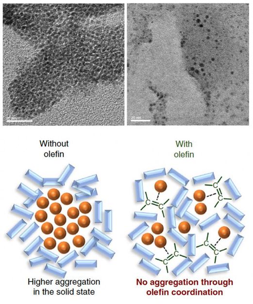 Kubota K. et al., Nature Communications, Jan. 10, 2019