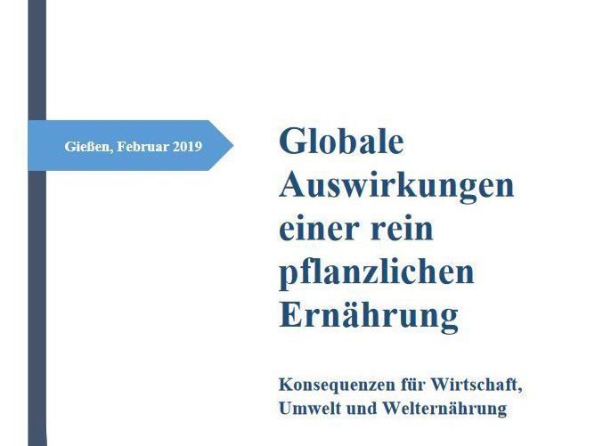 Neue Studie zu globalen Auswirkungen veganer Ernährung - Fleischverzicht in Deutschland rettet keinen Regenwald