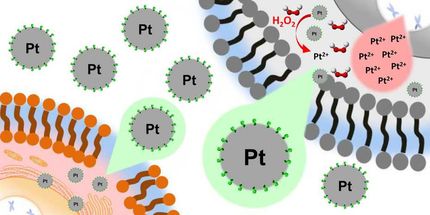 Platinum nanoparticles for selective treatment of liver cancer cells