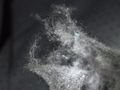 Tiny fibers create unseen plastic pollution