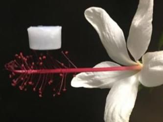 Ultraleichtes Keramikmaterial, das extremen Temperaturen standhält - Aerogel als ein Upgrade für die Isolierung von Raumfahrzeugen?