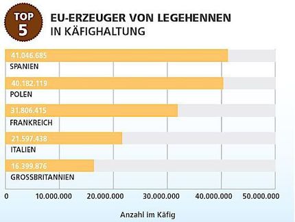 EU-Erzeuger von Legehennen in Käfighaltung