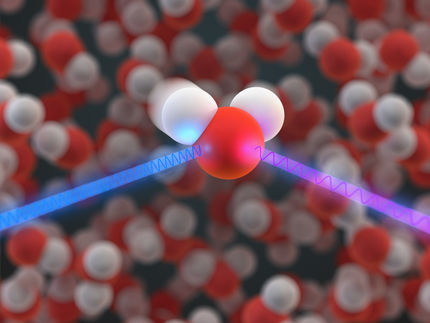 Wasser ist homogener als gedacht