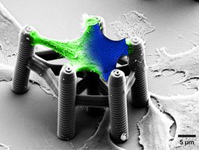 Materialdesign in 3D: vom Molekül bis zur Makrostruktur