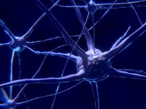 Parkinson’s researchers test a new approach against motor disorders