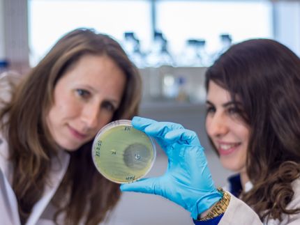 Darmbakterien wehren Krankheitskeime ab