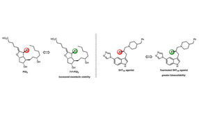 When changing one atom makes molecules better