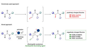 © Universität Wien/Maulide Group