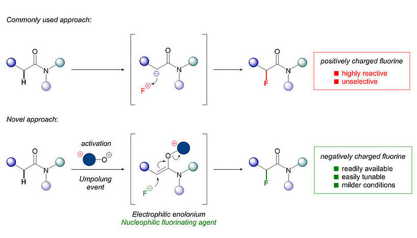 © Universität Wien/Maulide Group