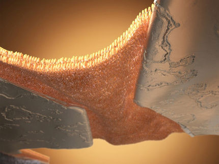 Semiconductors: No support needed