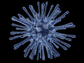 Los virus interactúan socialmente entre ellos para evadir al sistema inmunitario