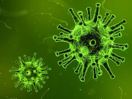 Una pequeña molécula que imita a los anticuerpos protege a los ratones contra la gripe letal