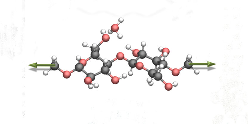 Converting biomass by applying mechanical force