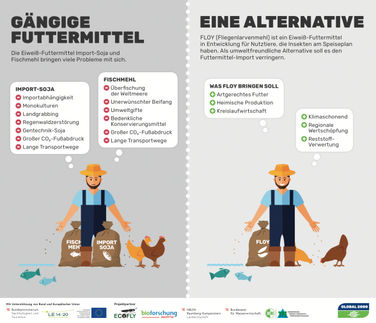 Insekten statt Fischmehl und Import-Soja. Ein neues Projekt von LandwirtInnen und Forschungseinrichtungen unter der Leitung von GLOBAL 2000