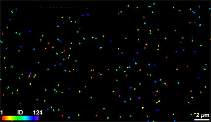 Tiny “blinkers” reveal molecules inside cells