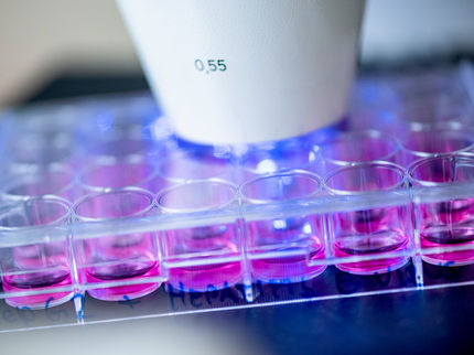 Big Data gegen Hepatitis