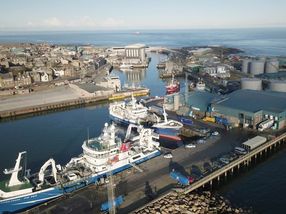 3sat-"makro": Peterhead in Schottland ist der wichtigste Fischereihafen Großbritanniens. 8000 Kisten mit frischem Fisch wechseln an einem Morgen den Besitzer.