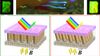 Von Fischen inspiriertes Material verändert die Farbe durch Nanosäulen