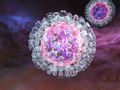 Hepatitis C-Viren erfolgreich ausschalten