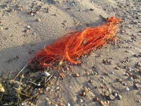 Gegen Plastikmüll im Meer