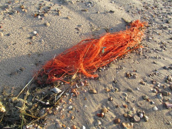 Gegen Plastikmüll im Meer - Forscher entwickeln biobasierte Kunststoffe, die sich unter marinen Bedingungen abbauen