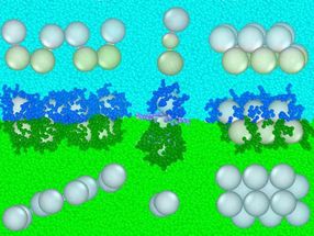 Geschichtete Flüssigkeiten ordnen Nanopartikel in nützliche Konfigurationen