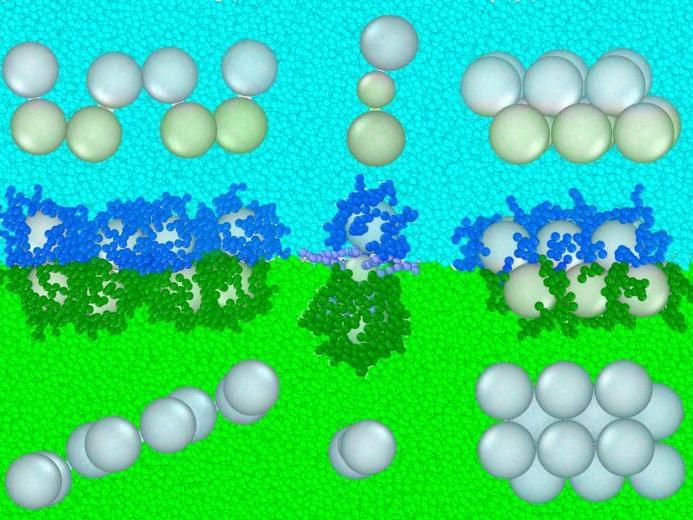 Geschichtete Flüssigkeiten ordnen Nanopartikel in nützliche Konfigurationen - Der theoretische Ansatz für die Herstellung von Nanopartikeln basiert auf einer Idee, die der von getrennten Vinaigrettes ähnelt