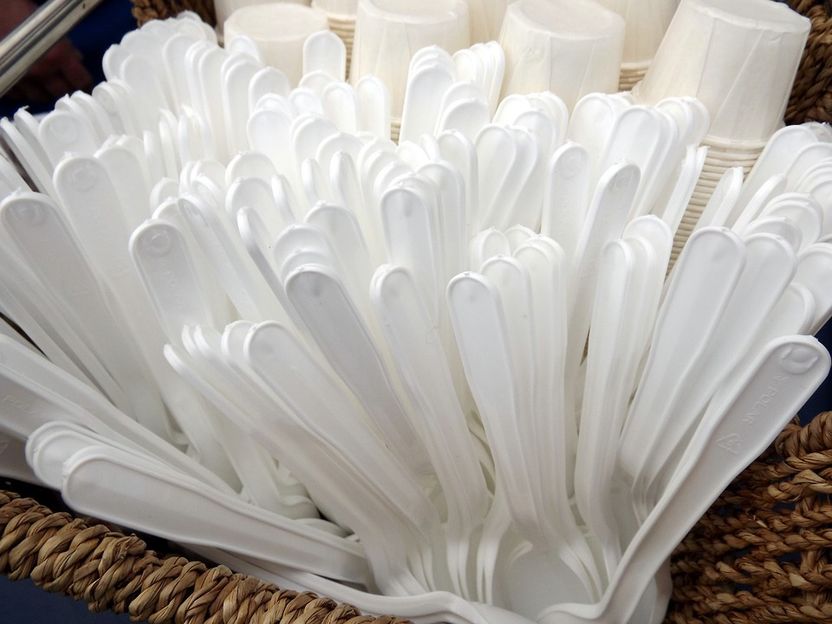 Grünes Licht für Verbot von Einmal-Plastikprodukten