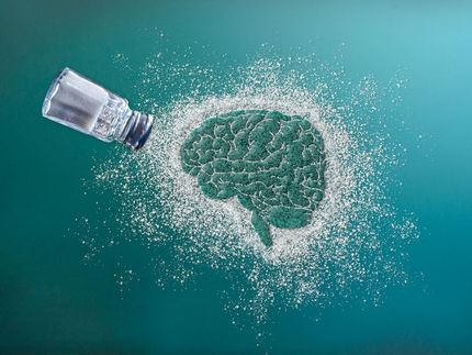 The salt-craving neurons