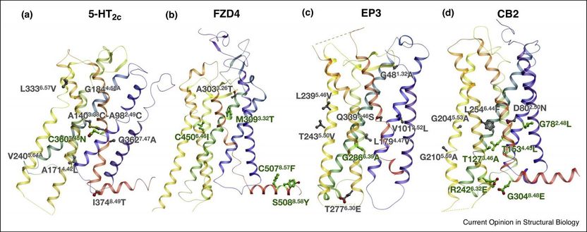 Petr Popov et al./Current Opinion in Structural Biology