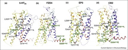 New computational method enhances drug target stability