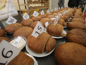 42 Brotlaibe im Test – gebacken aus 21 Sorten Weizenmehl.